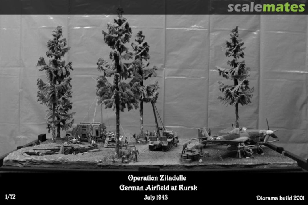 View album, image #1 View album, image #1