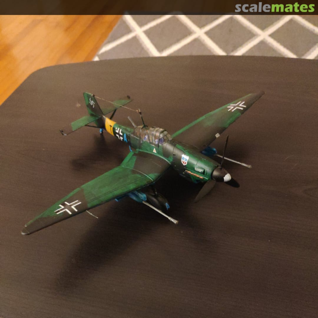 View album, image #3 View album, image #3