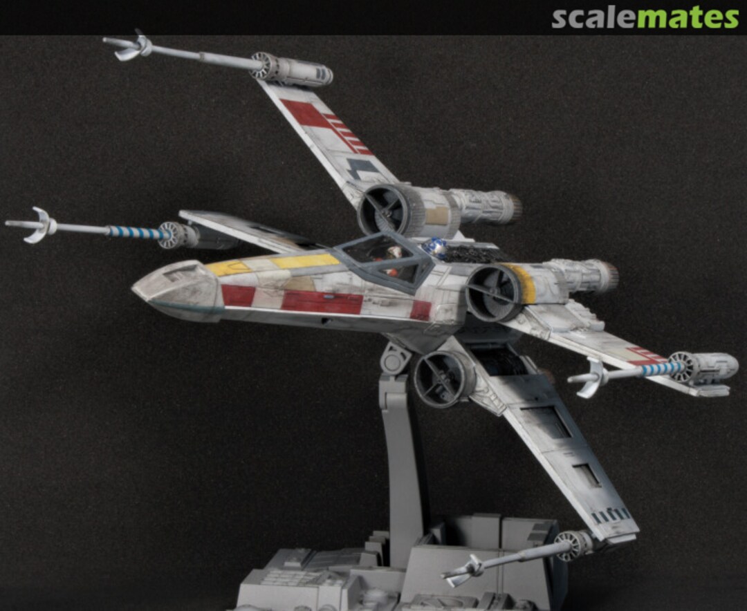 View album, image #1 View album, image #1