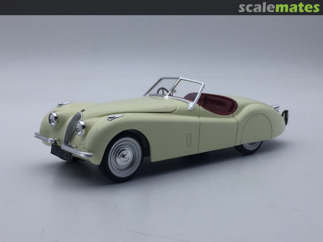 View album, image #1 View album, image #1