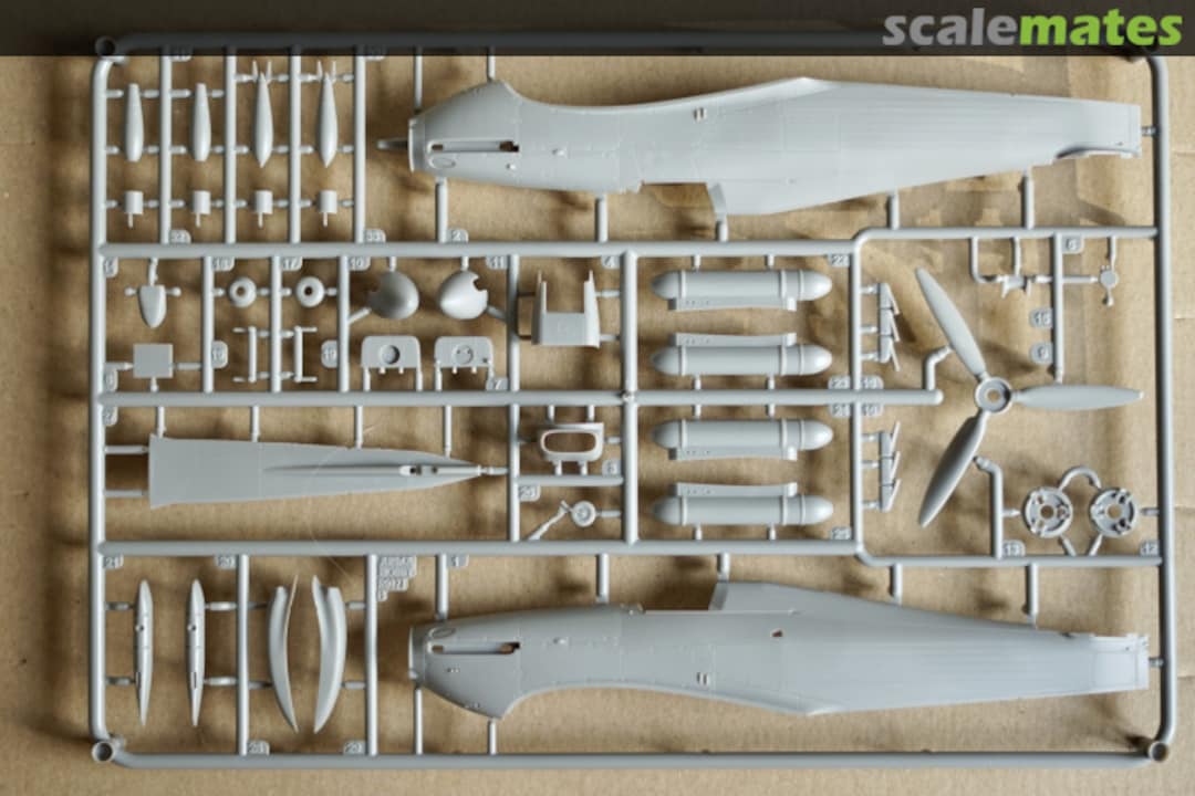 View album, image #6 View album, image #6