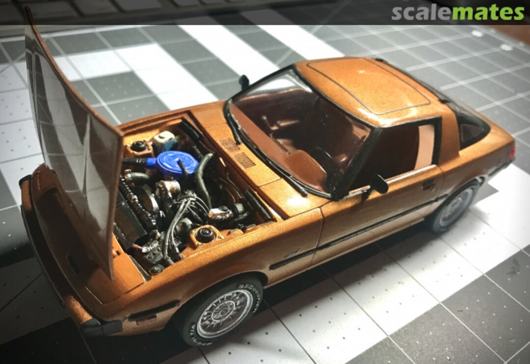 View album, image #1 View album, image #1