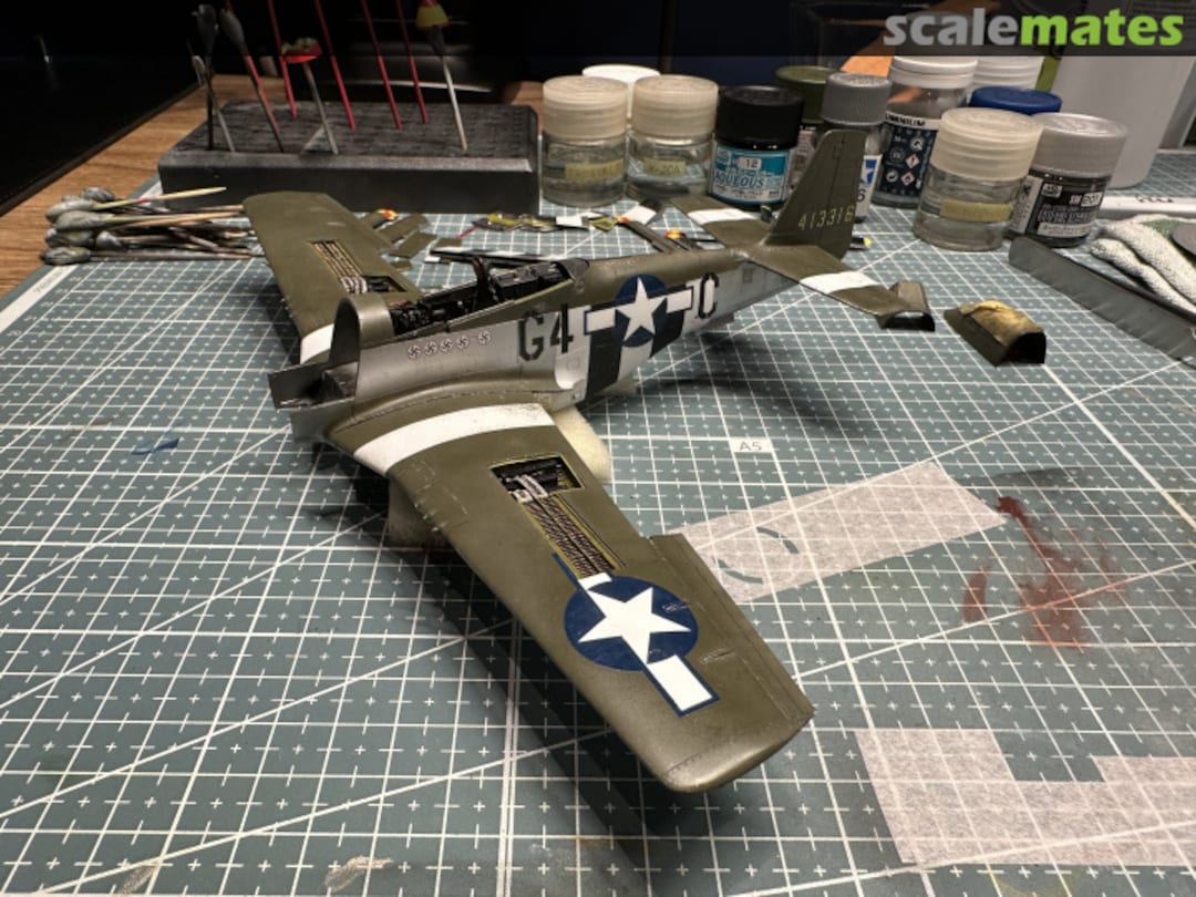 View album, image #13 View album, image #13