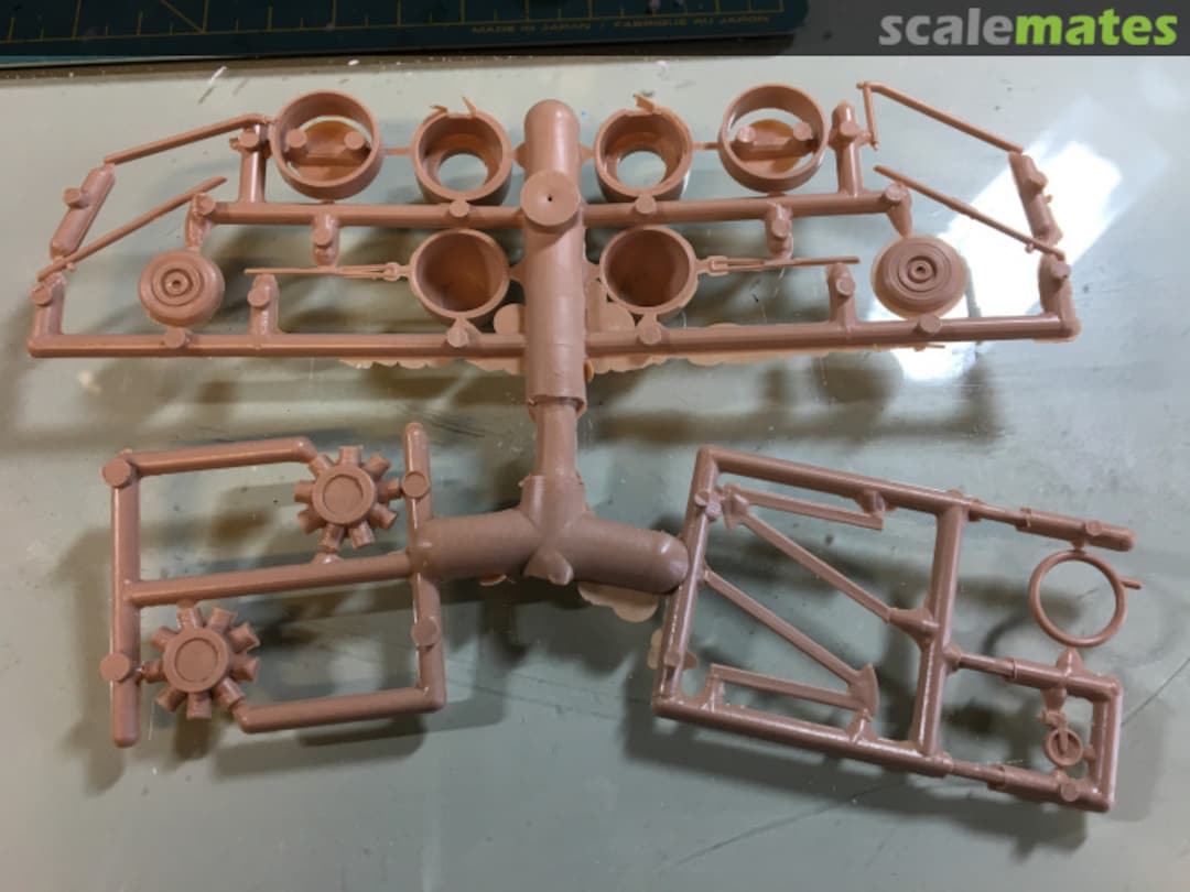 View album, image #1 View album, image #1