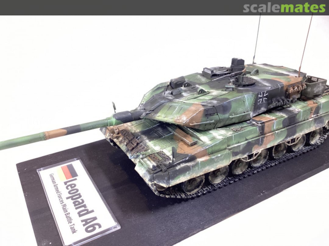 View album, image #6 View album, image #6