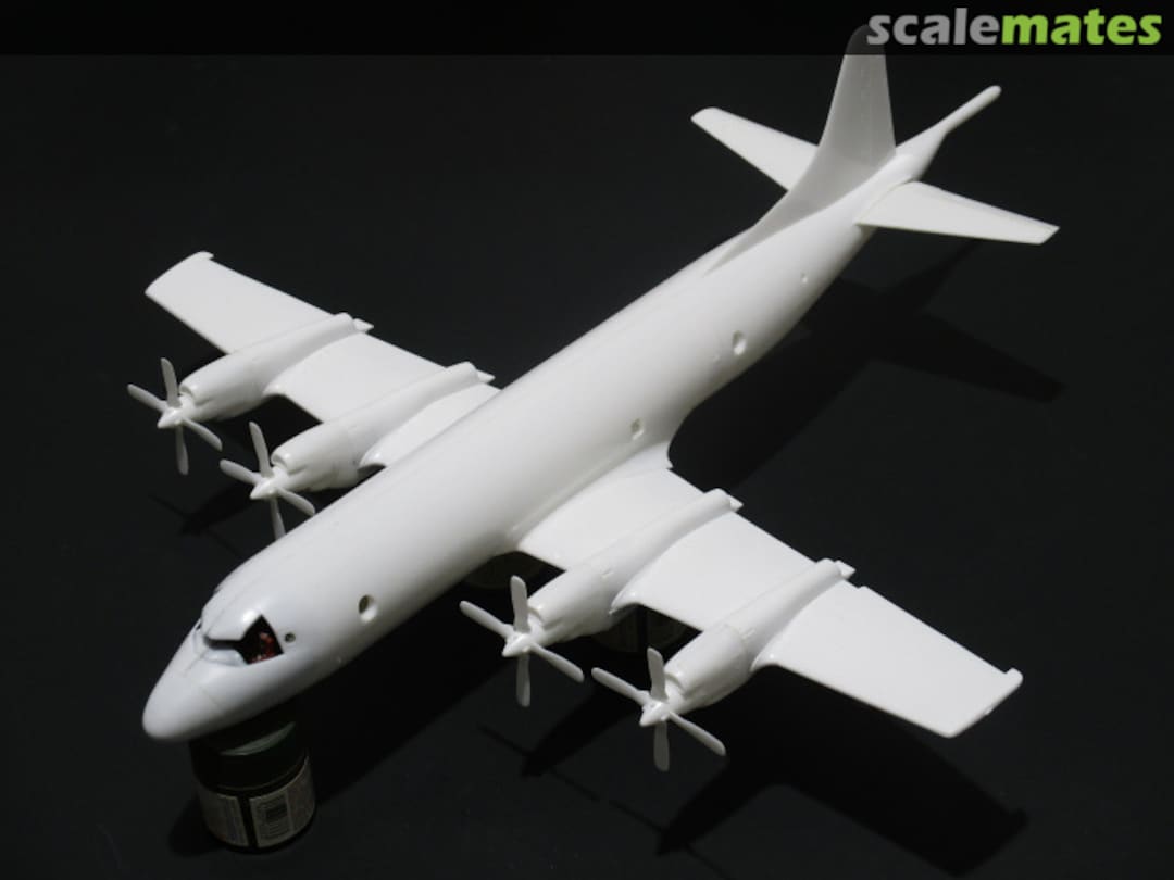 View album, image #23 View album, image #23