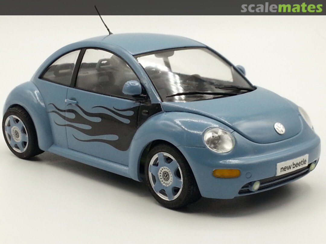 View album, image #13 View album, image #13