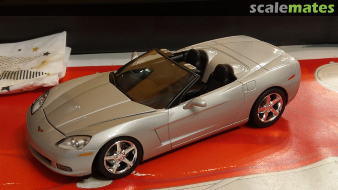 View album, image #28 View album, image #28