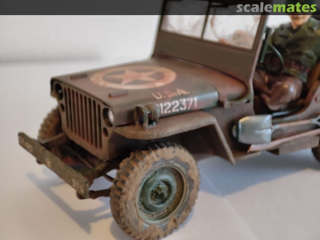 View album, image #1 View album, image #1