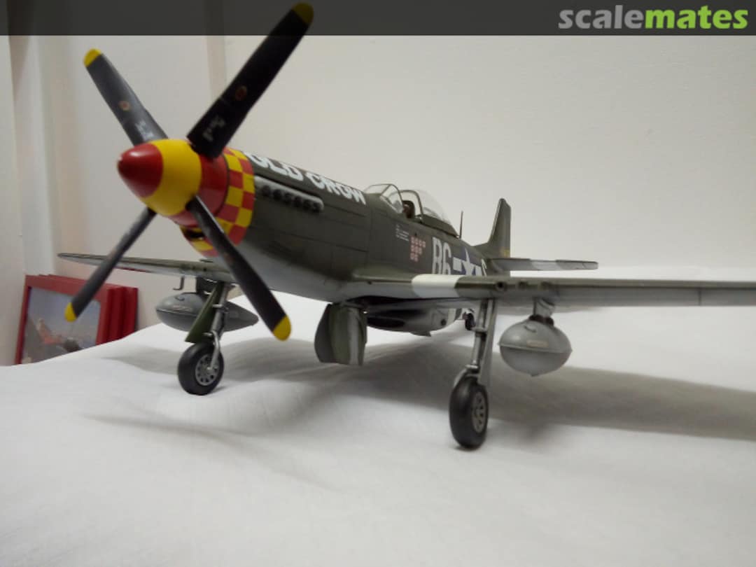 View album, image #1 View album, image #1