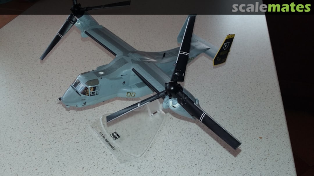 View album, image #1 View album, image #1