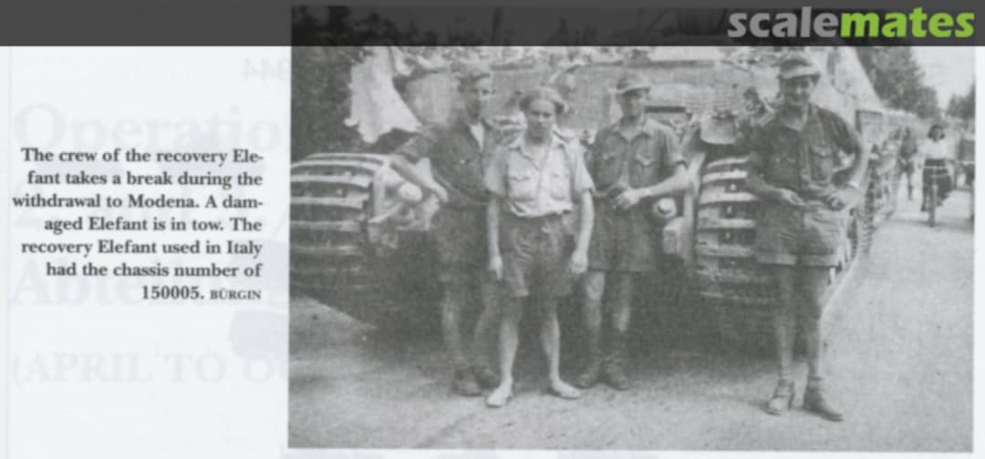 View album, image #1 View album, image #1