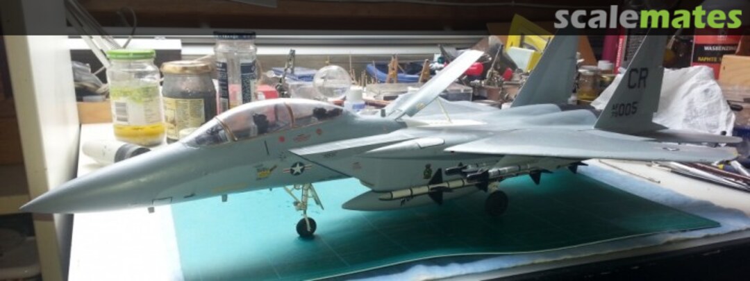 View album, image #1 View album, image #1