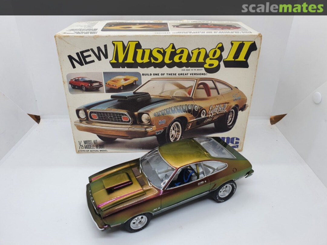 View album, image #1 View album, image #1