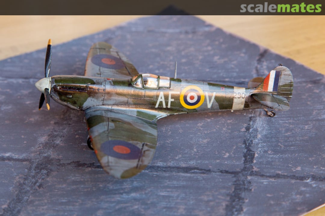 View album, image #1 View album, image #1