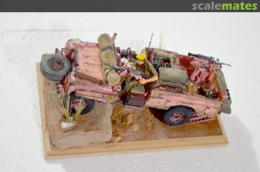 View album, image #1 View album, image #1