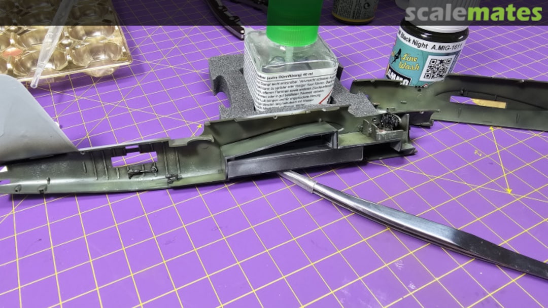 View album, image #6 View album, image #6