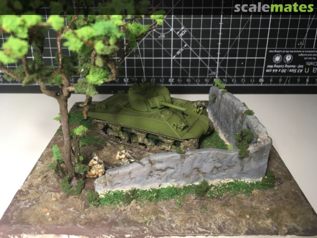 View album, image #1