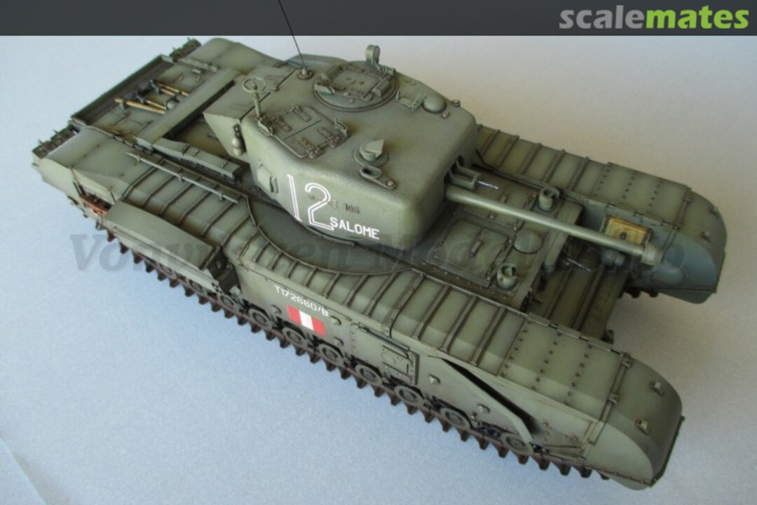 View album, image #1 View album, image #1