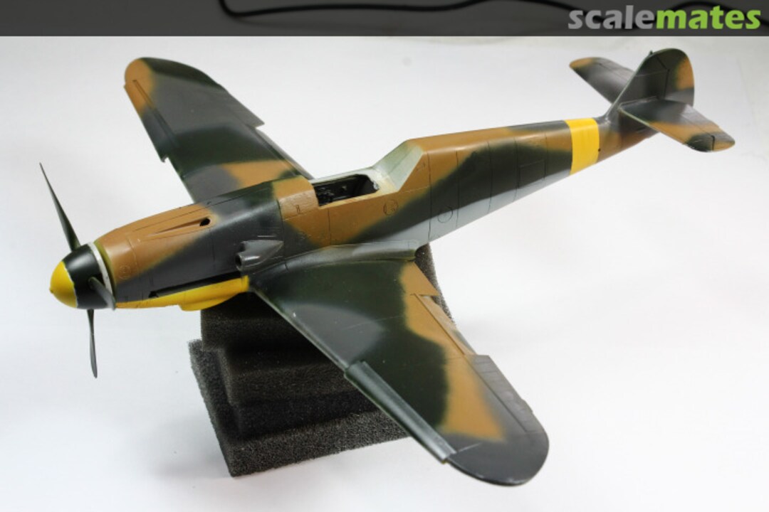 View album, image #1 View album, image #1