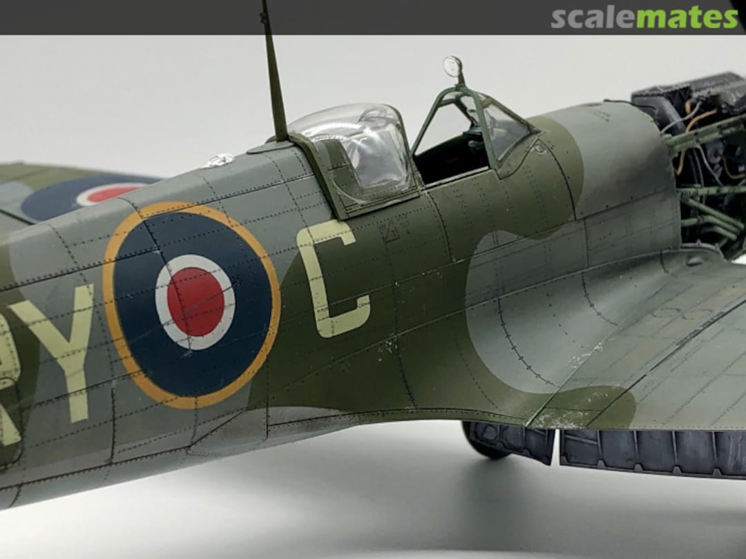 View album, image #1