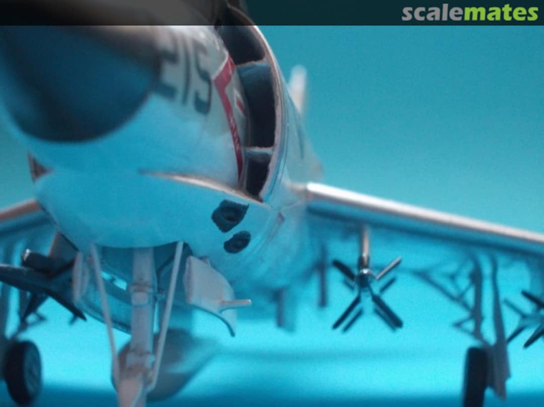 View album, image #1 View album, image #1