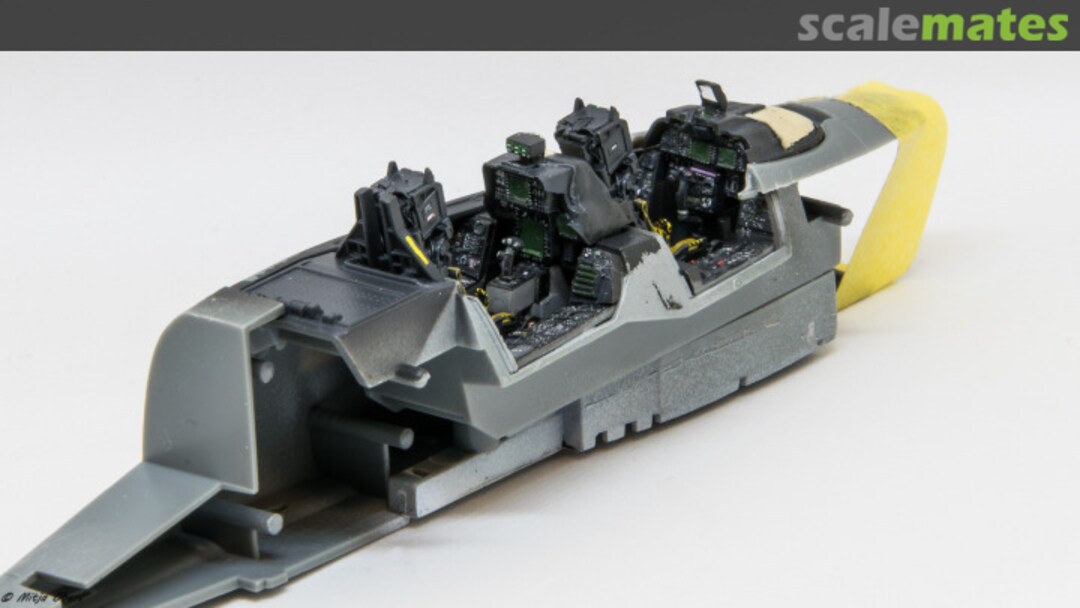 View album, image #1 View album, image #1