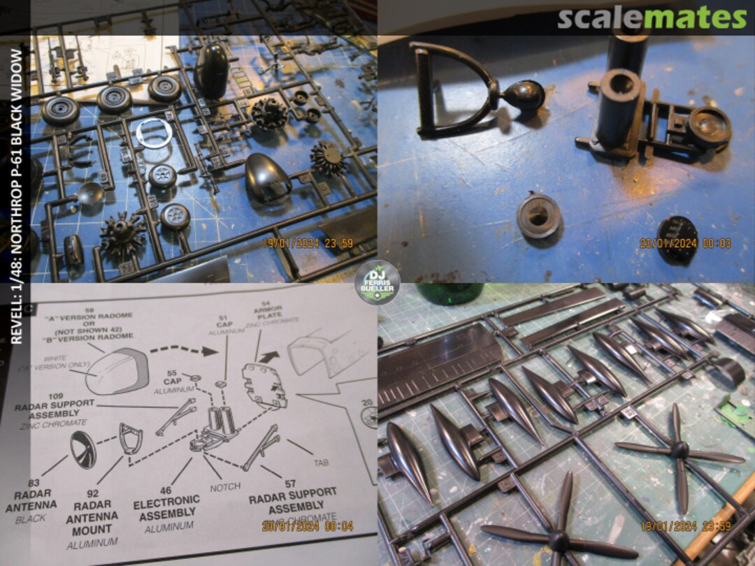 View album, image #1 View album, image #1