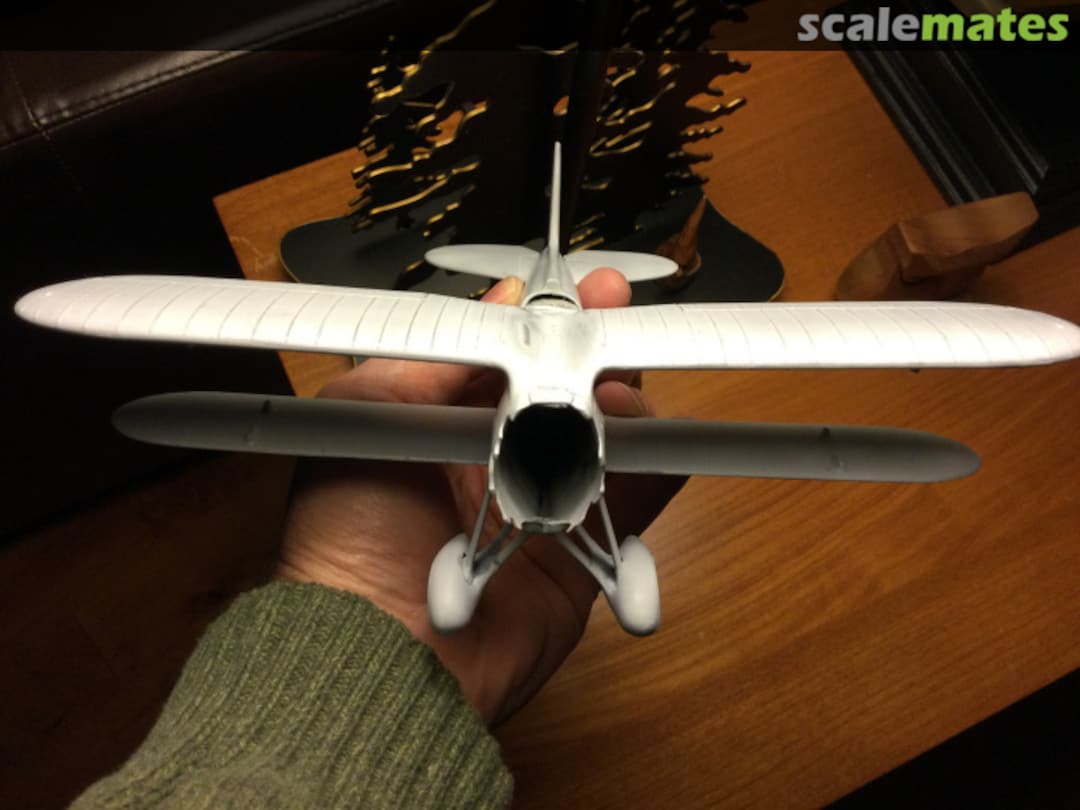 View album, image #1 View album, image #1