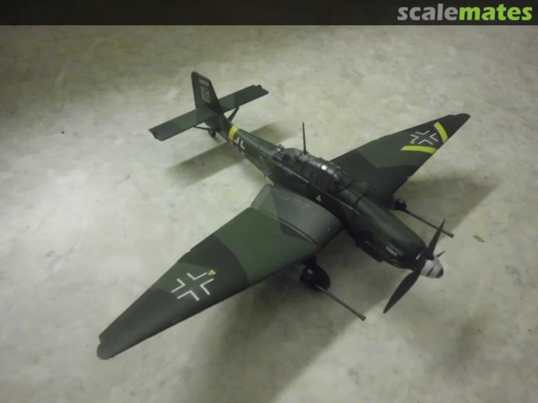 View album, image #1 View album, image #1