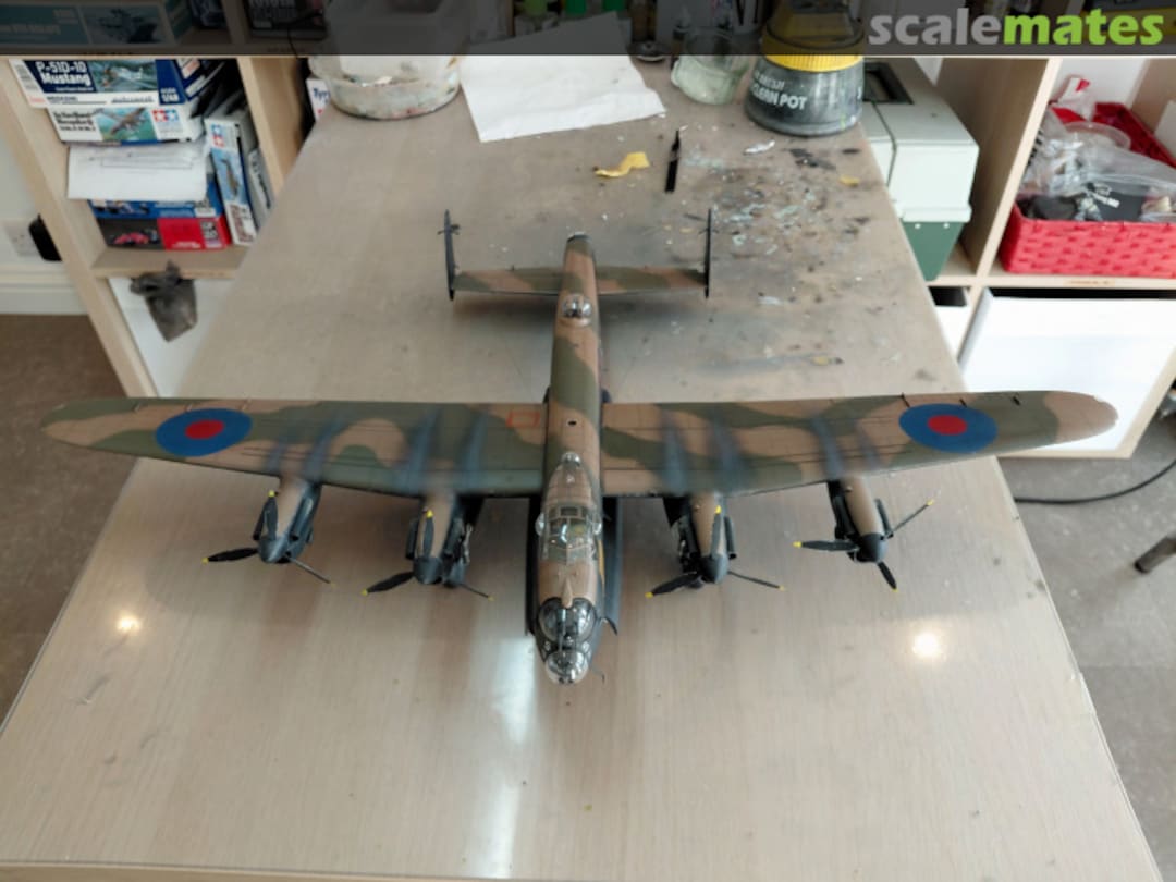 View album, image #26