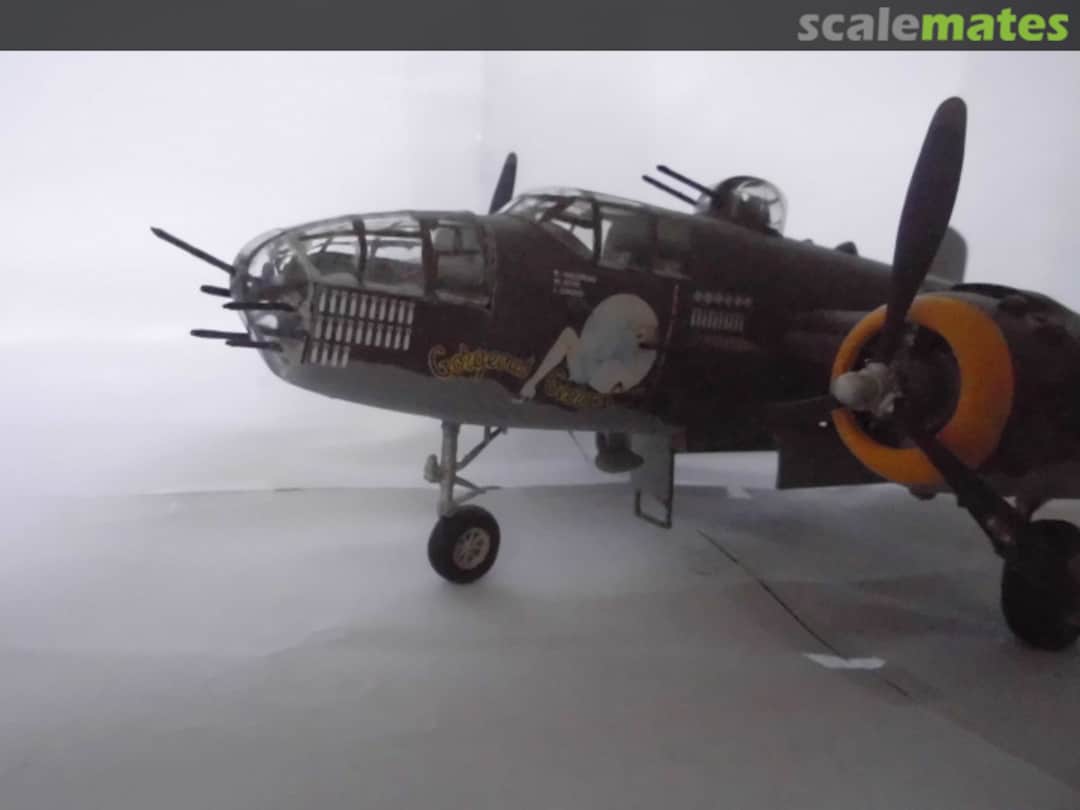 View album, image #1 View album, image #1