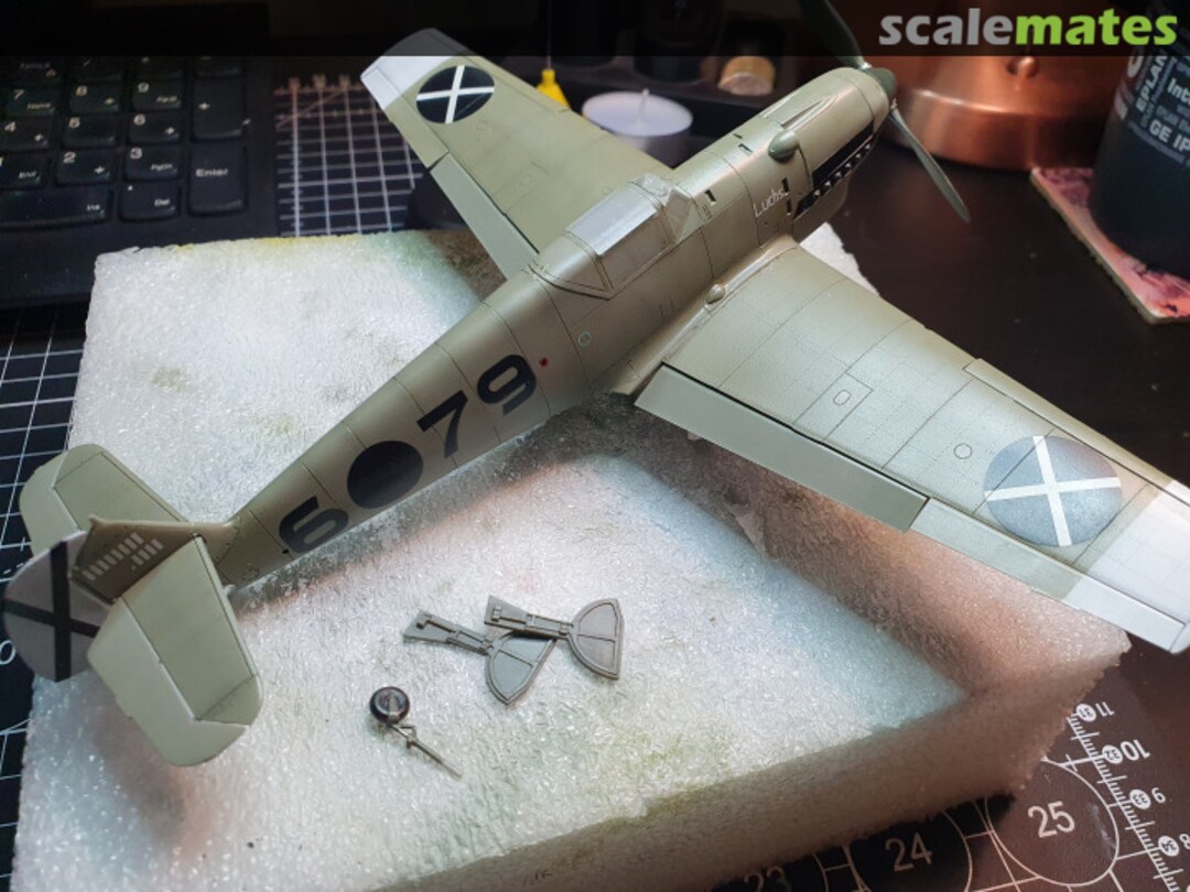 View album, image #1 View album, image #1