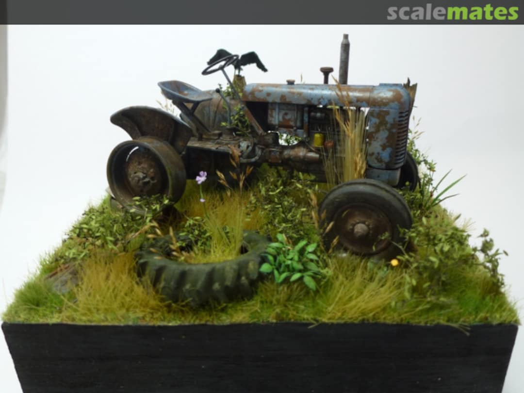 View album, image #11 View album, image #11