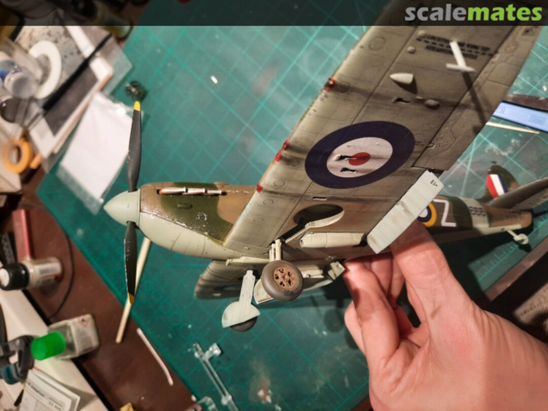 View album, image #1 View album, image #1