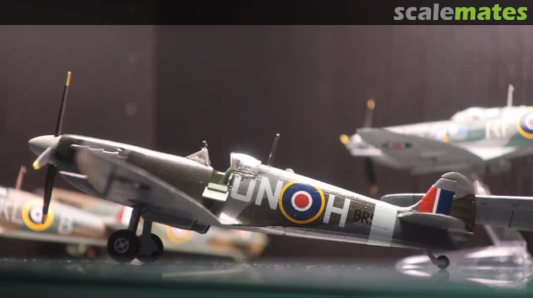 View album, image #14 View album, image #14