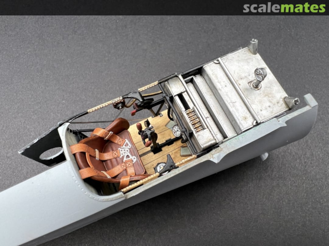 View album, image #14