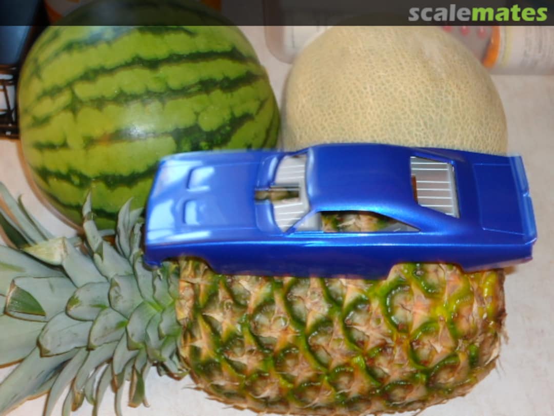 View album, image #38