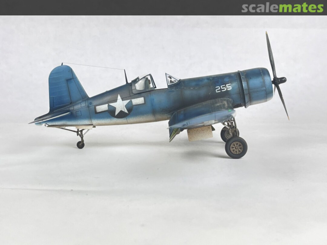 View album, image #1