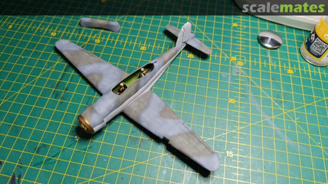 View album, image #10 View album, image #10