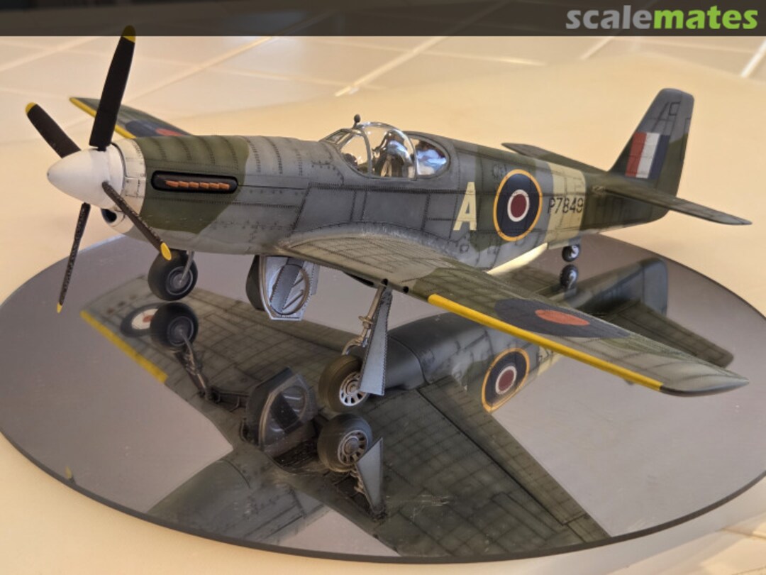 View album, image #1 View album, image #1