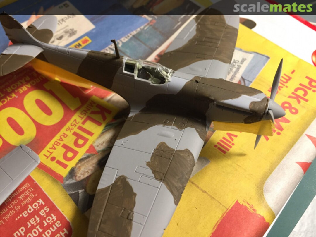 View album, image #1 View album, image #1