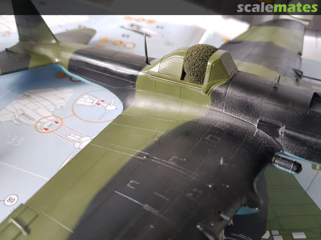 View album, image #1 View album, image #1