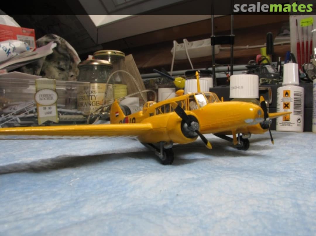 View album, image #1 View album, image #1