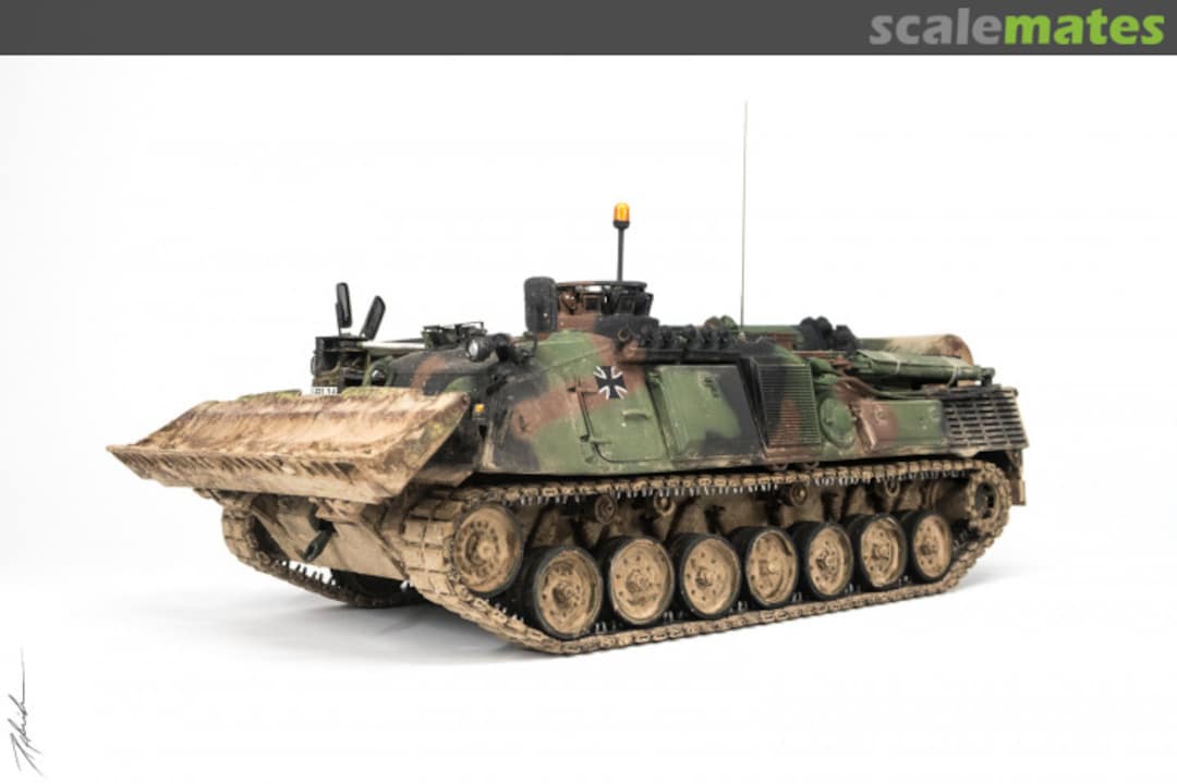 View album, image #1 View album, image #1