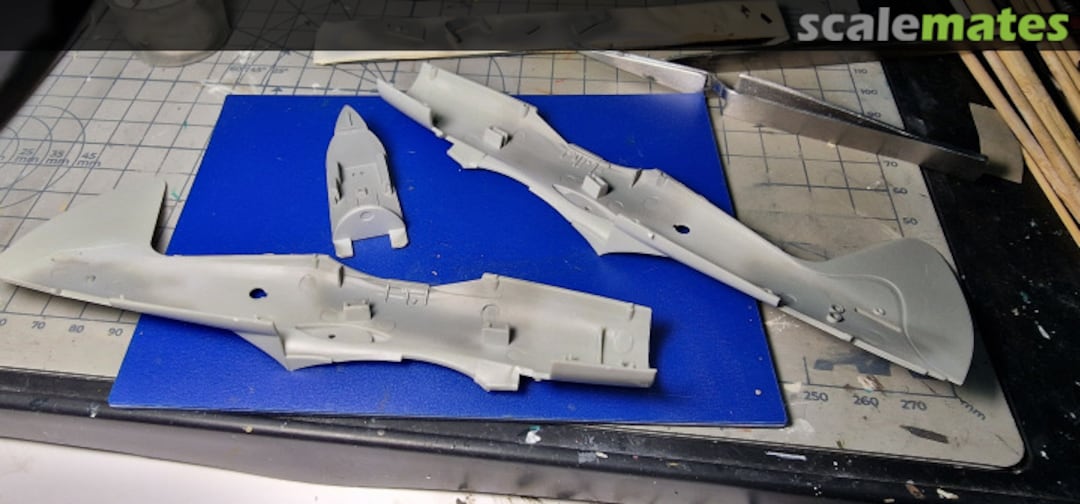 View album, image #1 View album, image #1