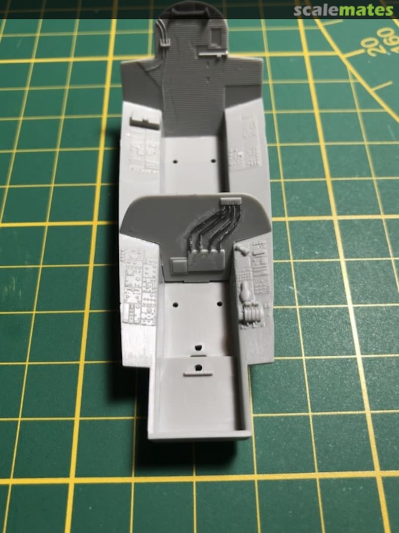 View album, image #1 View album, image #1