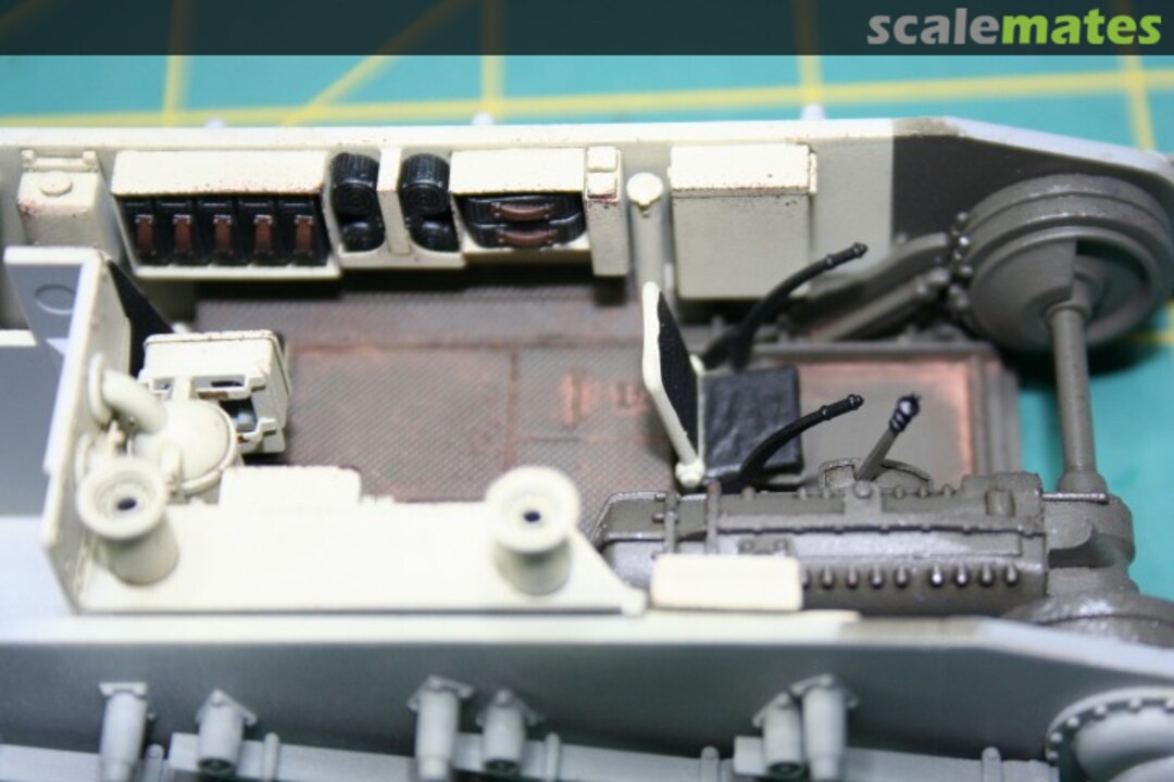 View album, image #1 View album, image #1