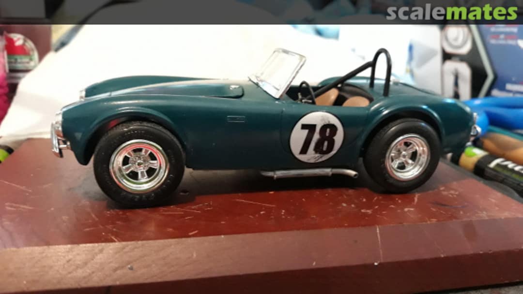 View album, image #1 View album, image #1