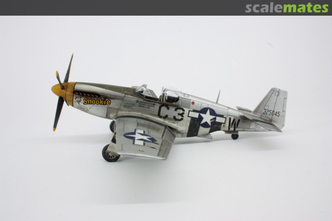 View album, image #9 View album, image #9